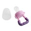 Newborn Baby Food Supplement Fruit Vegetable Baby Feeder Baby Bite Pacifier Carousel 4