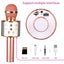 Portable Wireless Bluetooth USB Rechargeable Karaoke Microphone Carousel 4