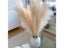5Pcs 55cm Artificial Pampas Grass Bouquet Holiday Wedding Party Home Decoration Carousel 3
