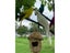 25/35cm Simulation Parrot Garden Decoration Creative Lawn Figurine Ornament Carousel 5