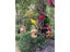 25/35cm Simulation Parrot Garden Decoration Creative Lawn Figurine Ornament Carousel 7