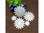5pcs/Set Flower Decor Metal Cutting Dies For Scrapbooking Carousel 5