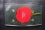 Julie O' Hand Crafted Slump Glass Plate NZ (SKU C2) Carousel 3