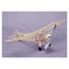 Sig Herr Taylorcraft 457mm WS Rubber oror Micro Electric RC Carousel 1
