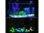 50/100Pcs Artificial Noctilucent Stone With Colorful Luminescence For Carousel 6