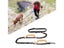 Dog Leash Dog Lead Carousel 3
