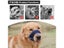 Dog Muzzle Carousel 6