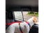 Solid Color Pet Car Seat Belt Nylon Lead Leash Adjustable Harness Collar Carousel 5