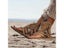 Retro Women Fringe Flower Wedges Shoes Solid Flock Beach Casual Sandals Women Carousel 5