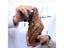 Indestructible Ryder Shoes Men And Women Steel Toe Cap Work Safety Shoes Carousel 7