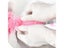 2 In 1 Silicone Bottle Brush Baby Bottle Cleaner Nipple Brush Set For Feeding Carousel 7