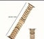 Classic Stainless Steel Apple Watch Band with case- GOLD Carousel 4