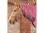 Customize High Quality Oxford Breathable Waterproof Ripstop Horse Blanket Carousel 6