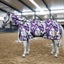Horse Blanket With Neck Cover Horse Sheet Equestrian Equipment Camouflage Carousel 2