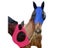 Factory New Products Anti-sunlight Anti-mosquito Breathable Equestrian Products Carousel 7