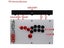 FightBox FIGHTING BOARD-UP5 All Buttons Hitbox Style Arcade Joystick Fight Carousel 7