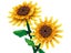 2 Sets of Flower Building Blocks Kit Home Decoration - Sunflower Style Carousel 2