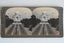 10x Stereoscope card - 3D Photographs 1899-1902 Carousel 13