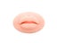 Microblading 5D Silicone Practice Lips Skin For PMU Training Carousel 5