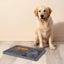 Silicone Dog Licking Pad anti slip Suction Cups Design Carousel 1