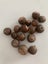 ACORNS. REAL FROM PIN OAK TREE Carousel 3