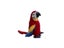 Loading Image 1 of 9