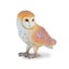 CollectA Barn Owl Carousel 1