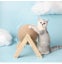 Cat Scratching Ball Toy New Carousel 6