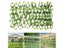 New Garden Screening Expanding Trellis Privacy Screen Hedge Artificial Faux Ivy Carousel 1