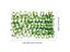 New Garden Screening Expanding Trellis Privacy Screen Hedge Artificial Faux Ivy Carousel 3