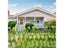 New Garden Screening Expanding Trellis Privacy Screen Hedge Artificial Faux Ivy Carousel 6
