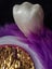 Rainbocorn Sequin Surprise Plush Purple Puppy with Wings in Egg 23cm - by Zuru Carousel 6