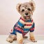Autumn and Winter Cat and Dog Clothes Cute Striped Plush Polyester Carousel 1