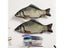 JIANWU Creative Simulated Salted Fish Pencil Case Large Capacity Pencils Pouch Carousel 5