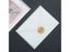 10pcs/lot Blank Translucent Envelope For Invitations Postcards European Giftbox Carousel 6
