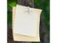 12pcs Bulletin Board Push Pin Photos Wall Maps Metal Decorative Pushpins Thumb Carousel 4