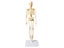 Joints Of Human Organ Bone Model DIY Assembly Skeletal Removable Structural Carousel 6
