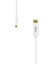 UNITEK 1.8m 4K USB-C to DisplayPort 1.2 Cable in White Plastic Housing. Supports Carousel 2