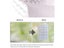 Insect Screen Window Screen Carousel 3