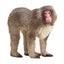 Loading Image 1 of 3