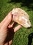 Crazy lace agate small block from mexico Carousel 7