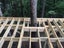 PINE FRAMING - REMAN - 190 x 45mm H3.2 MG -192m - TS7491 Carousel 19