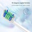 Brush Heads for Philips New Carousel 6