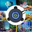 PTN NEW Aquarium Bubble Lights Sale Sale Carousel 7