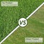Artificial Turf Fake Grass Artificial Grass 30mm - 100sqm Carousel 9
