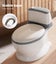 Bopeep Potty Training Seat Kids Safety Toilet Trainer Toddler Non-Slip Grey Carousel 9