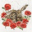 Loading Image 1 of 1