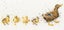 Bothy Threads Cross Stitch Kit - Mother Duck Carousel 1