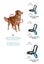 ZEE.DOG SOFTER WALK HARNESS - VOYAGE - MEDIUM! Carousel 13