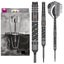 Target - NEW Dimitri Van den Bergh x ECHO Steel SP - 90% Tungsten Darts Carousel 1